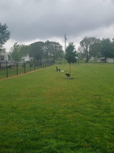 Ada Dog park - Ada, OH