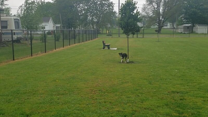 Ada Dog park - Ada, OH