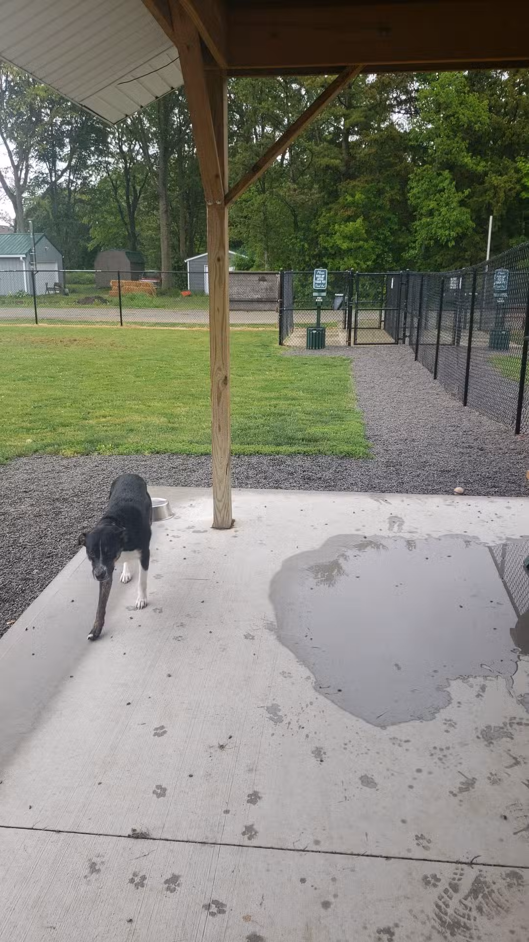 Ada Dog park - Ada, OH