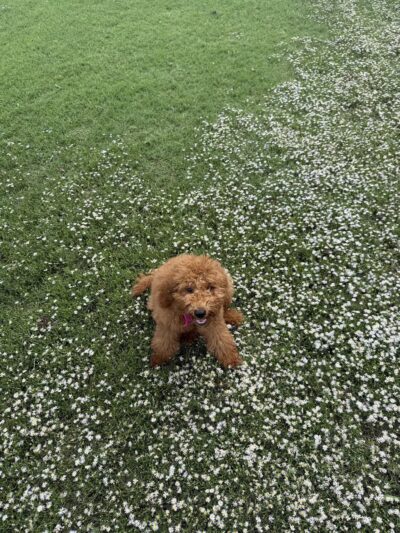 Connors Park - Adair, OK