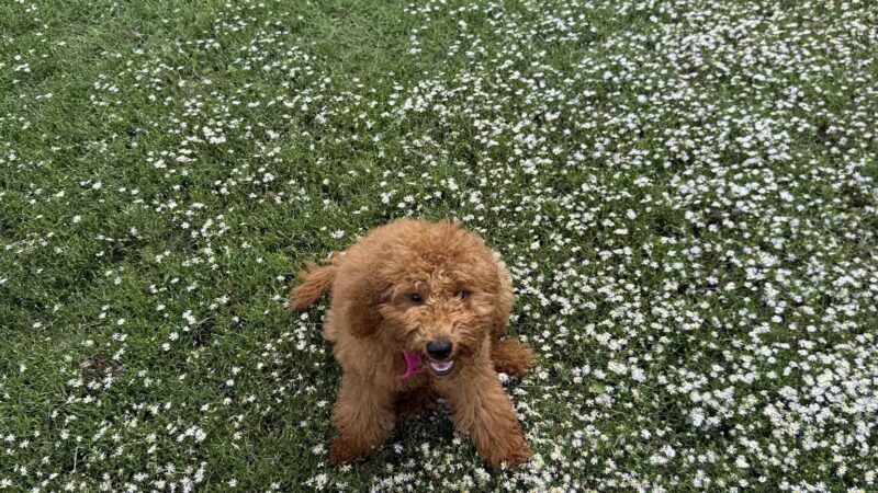 Connors Park - Adair, OK