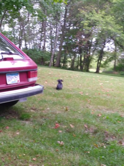 Adams Park - Adams, MN