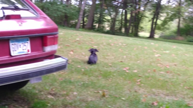 Adams Park - Adams, MN