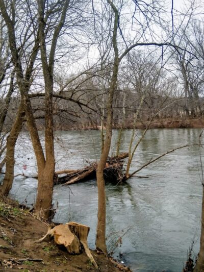 Buckeystown Park - Adamstown, MD