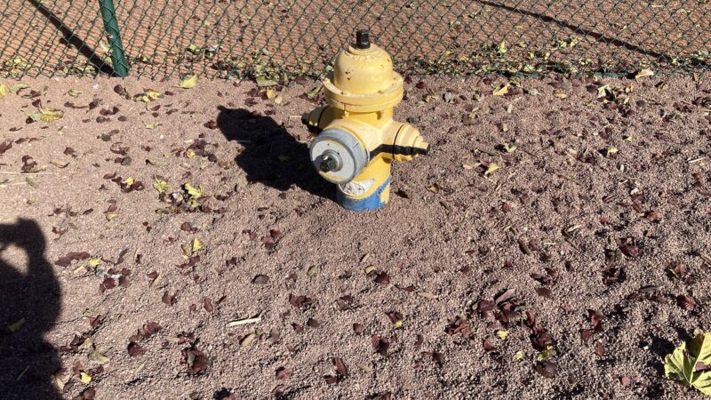 Adelanto Dog Park - Adelanto, CA