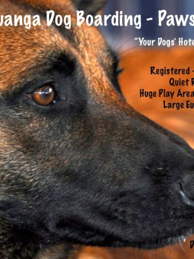 Aguanga Dog Boarding - Pawsnclaws, Inc. - Aguanga, CA