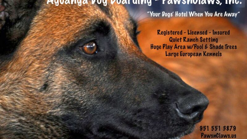 Aguanga Dog Boarding - Pawsnclaws, Inc. - Aguanga, CA
