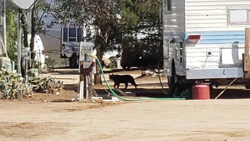 Bradford Run (Formerly Cowboy Country Campground) - Aguanga, CA