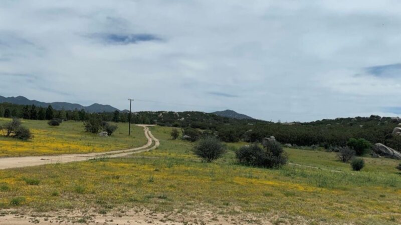 Bradford Run (Formerly Cowboy Country Campground) - Aguanga, CA