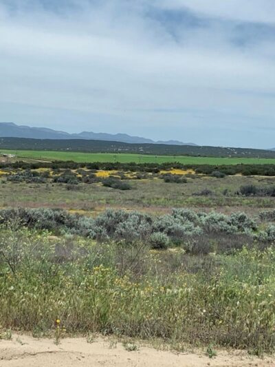 Bradford Run (Formerly Cowboy Country Campground) - Aguanga, CA