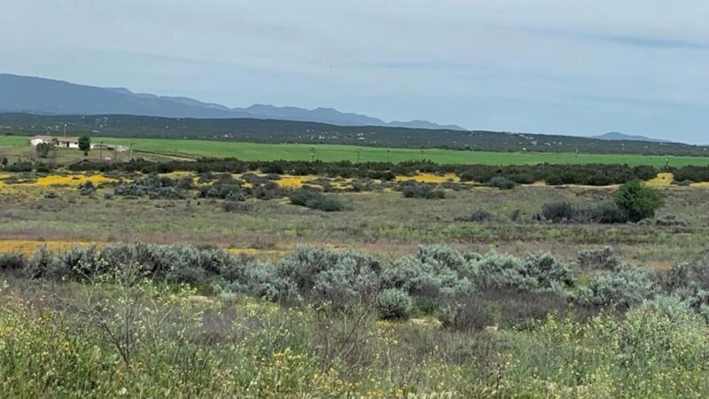 Bradford Run (Formerly Cowboy Country Campground) - Aguanga, CA
