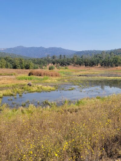 Ahwahnee Hills Regional Park - Ahwahnee, CA