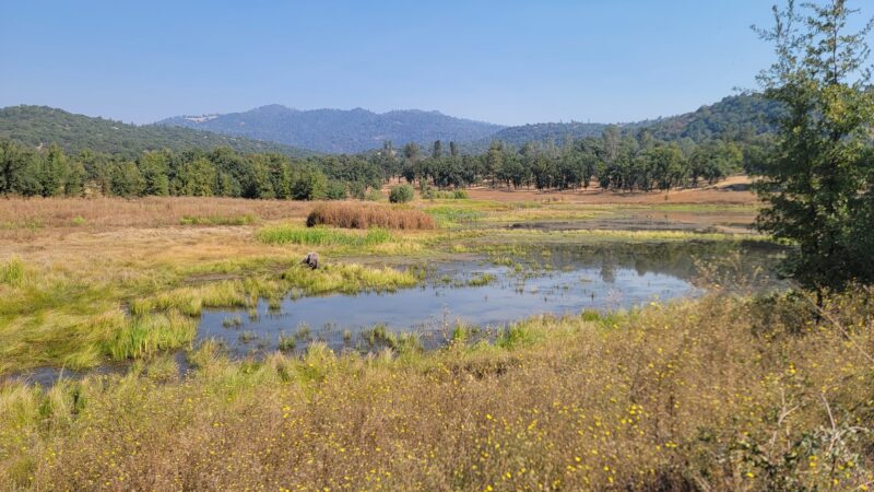 Ahwahnee Hills Regional Park - Ahwahnee, CA