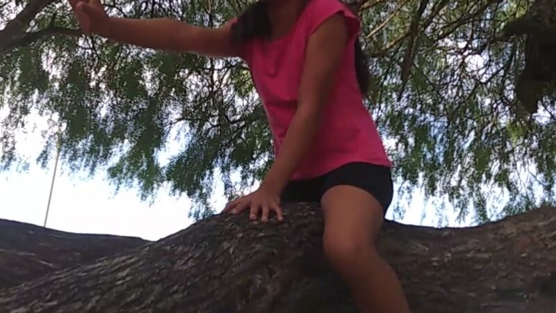 Lions Park - Alamo, TX