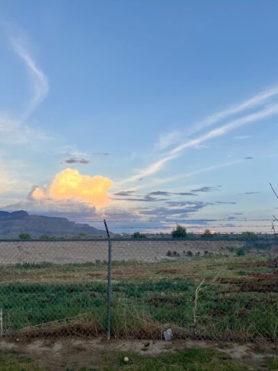 Bark Park - Alamogordo, NM
