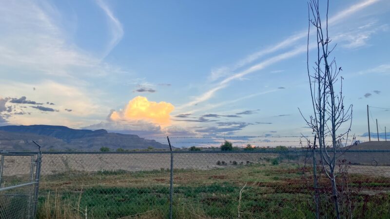 Bark Park - Alamogordo, NM
