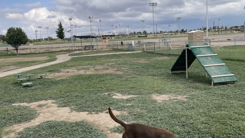 Bark Park - Alamogordo, NM