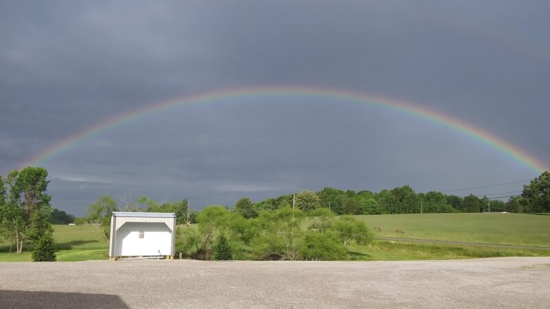 Rowena Boat & RV storage - Albany, KY