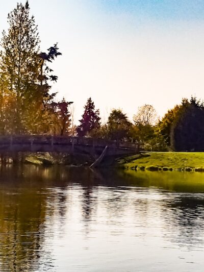 Albany Dog Park at Timber Linn Park - Albany, OR