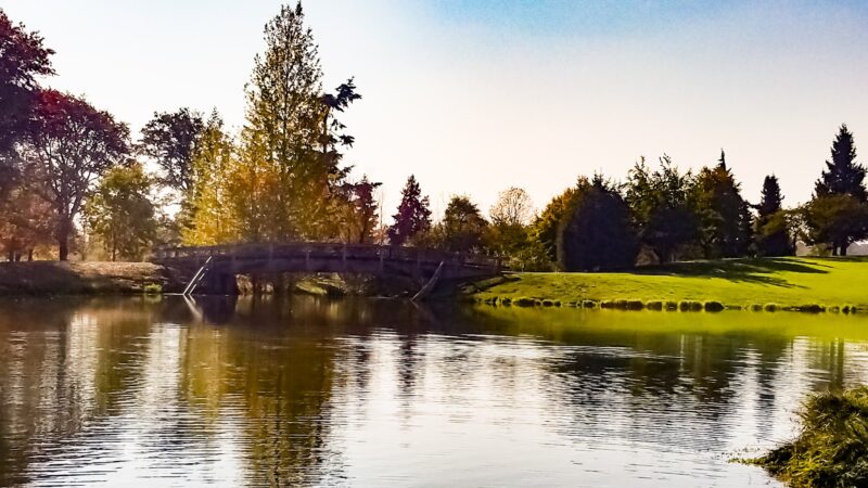 Albany Dog Park at Timber Linn Park - Albany, OR