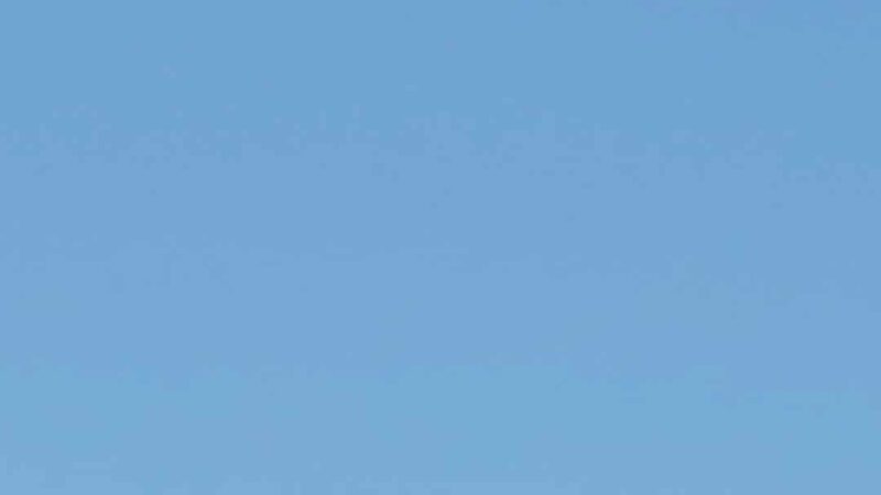 Albany Dog Park at Timber Linn Park - Albany, OR