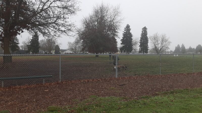 Albany Dog Park at Timber Linn Park - Albany, OR