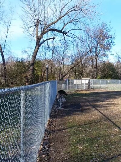 Brookside Dog Park - Albert Lea, MN