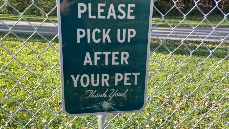 Brookside Dog Park - Albert Lea, MN