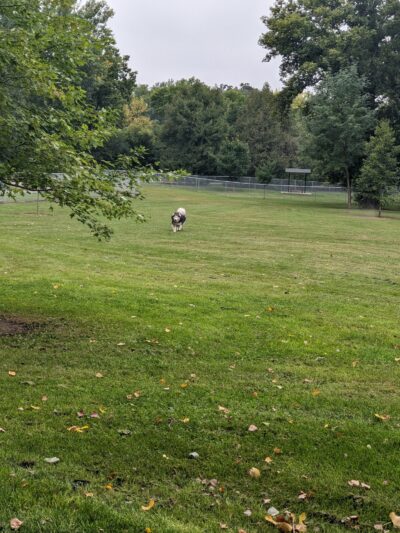 Brookside Dog Park - Albert Lea, MN