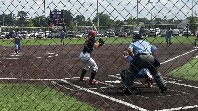 Sand Mountain Park & Amphitheater Dog Parks - Albertville, AL