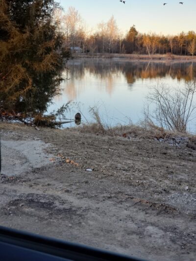 Bear Lake Public Access Site - Albion, IN