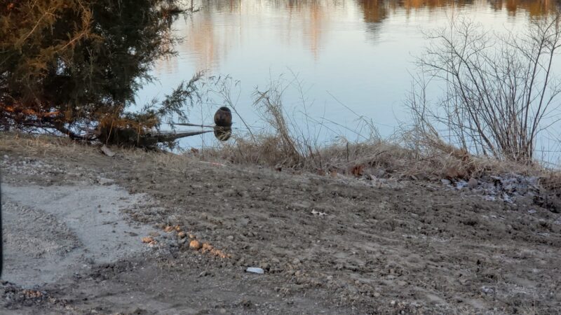 Bear Lake Public Access Site - Albion, IN