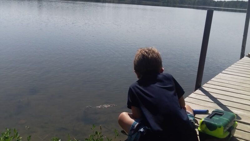 Bear Lake Public Access Site - Albion, IN