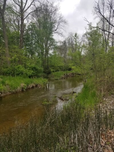 Hidden Diamonds Park - Albion, IN