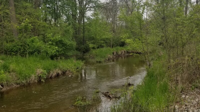 Hidden Diamonds Park - Albion, IN