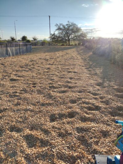 Alamosa Dog Park - Albuquerque, NM