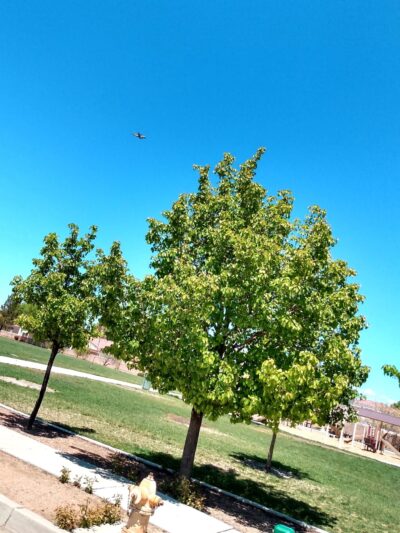 Bernardo Trails Park - Albuquerque, NM