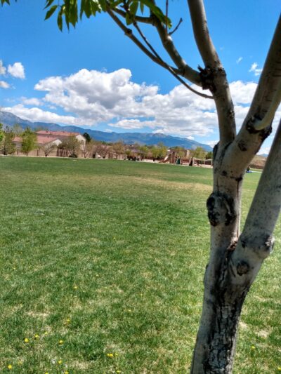 Bernardo Trails Park - Albuquerque, NM