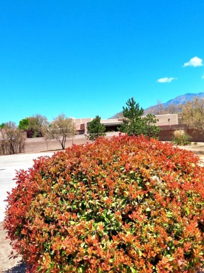 Bernardo Trails Park - Albuquerque, NM