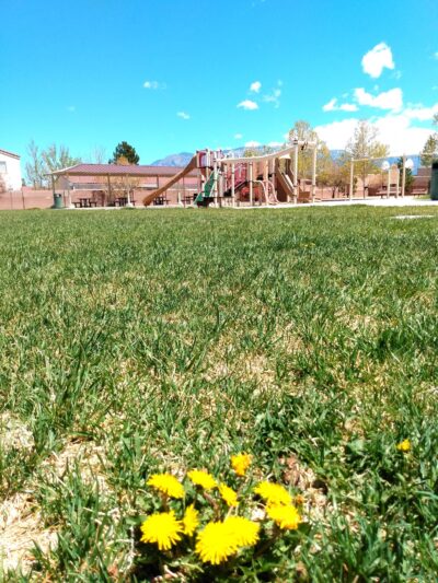 Bernardo Trails Park - Albuquerque, NM