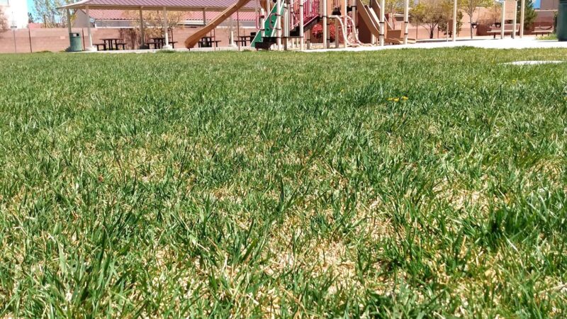 Bernardo Trails Park - Albuquerque, NM