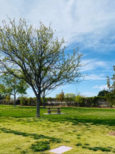 Burton Park - Albuquerque, NM