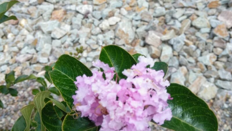 Chelwood Park - Albuquerque, NM