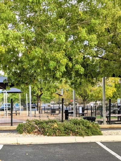 Cottonwood Mall Dog Park - Albuquerque, NM
