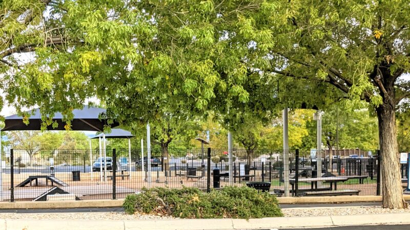 Cottonwood Mall Dog Park - Albuquerque, NM
