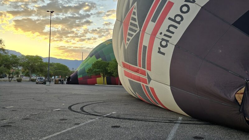 Cottonwood Mall Dog Park - Albuquerque, NM