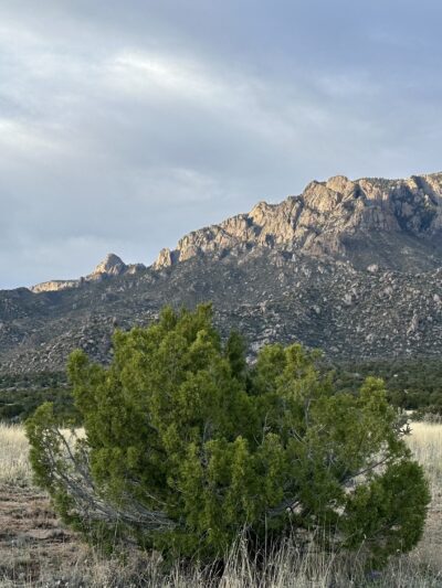 Cottonwood Springs Elena Gallegos Trailhead - Albuquerque, NM