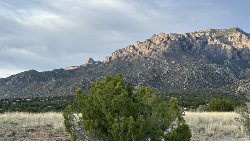 Cottonwood Springs Elena Gallegos Trailhead - Albuquerque, NM