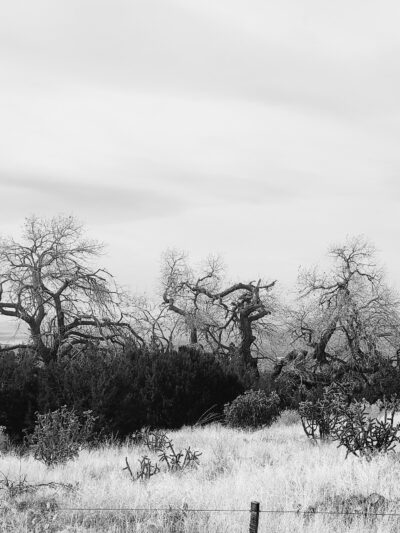 Cottonwood Springs Elena Gallegos Trailhead - Albuquerque, NM
