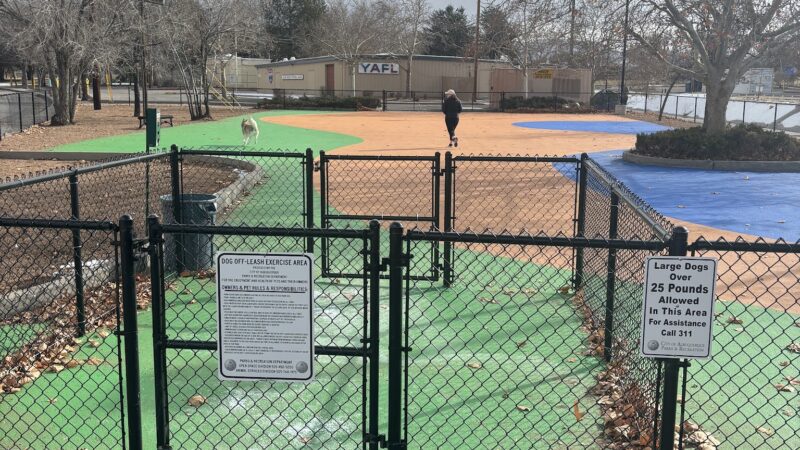 Dog Park - Albuquerque, NM